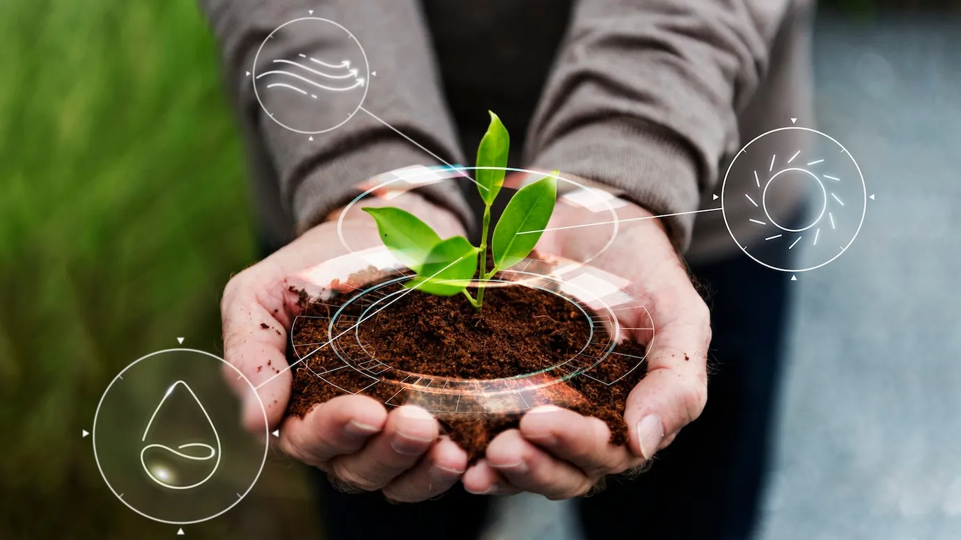 Desenvolvimento Sustentável Caminhos para um Futuro Responsável