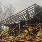 BB protege florestas com atuação no mercado de carbono