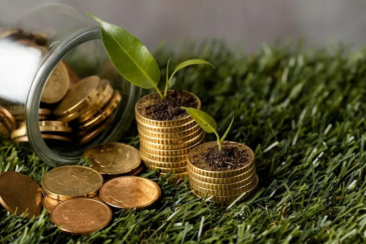 Investimento Sustentável: Como Alinhar Valores e Carteiras
