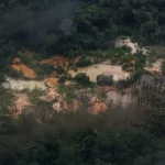 Ninguém Acerta Seis Dezenas e Prêmio da Mega-Sena Chega a R$ 35 Mi