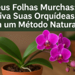 Lírio-da-Paz: o Segredo Natural Que Faz Suas Plantas Florescerem