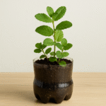 Creme Caseiro de Colágeno: Receita Completa