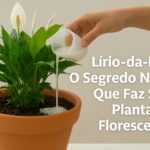 Mistura Natural com Cebola Roxa e Mel: Receita Caseira Que Fortalece o Corpo e Melhora o Bem-Estar