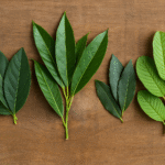 Receita Tradicional com Ovo, Alho e Mel: Energia e Disposição Natural no Dia a Dia