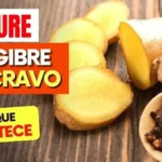 Planta – Propriedades, Usos Tradicionais e Benefícios Conhecidos